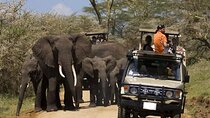  10 Days Northern & Southern Kenya Savannah Private Safari