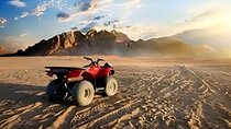  safari Experience in Luxor ( Quad Bike) 