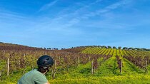 7-Day Portugal Self-Guided Bike Tour w/ Hotels & Luggage Transfer
