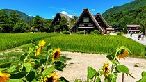 Private Tour Kanazawa, Shirakawago, Hida Furukawa,Takayama