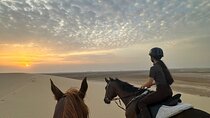 Doha Arabian Horseback Riding Adventure in Desert with Transfers
