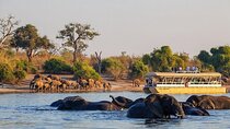 Chobe day trip game drive sunset cruise start from Vic falls.