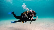 Try Scuba Diving by Boat in Mallorca