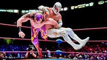 Enjoy the Incredible Wrestling Speculum at the CDMX