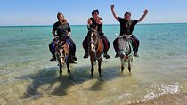 Desert & Sea Adventure – 3-Hour Horse or Camel Riding Experience 