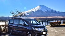 Mt. Fuji and Lake Kawaguchiko Private Tour by Car