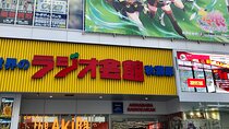 Akihabara Private Custom Tour with Pickup