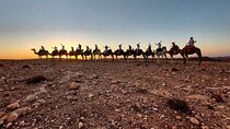 Sunset Camel Ride experience at the Agafay rocky Desert.
