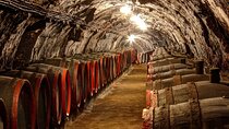 Tokaj Private Day Trip with Lunch and Wine Tasting