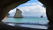 Coromandel Cathedral Tour Cove and Hot Water Beach from Auckland