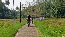 35km E bike Bike Day Tour in Galle
