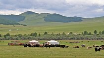 Nomadic Odyssey Mongolia Tour