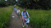 Half-Day Lagoon and Village Cycling Tour in Galle
