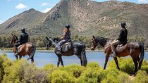 Cape Town Big 5 Safari on Horseback Riding at Aquila Game Reserve