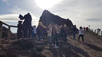 Vesuvius: Half Day Trip from Naples 