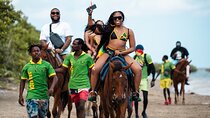Dunn's River Falls and Horseback Riding Adventure Ocho Rios Ja