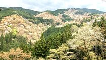Full-Day Private Guided Tour to Yoshino, Japanese Mountain