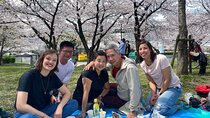 Sakura Picnic "Hanami" in Osaka - Spring Only