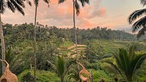 All Inclusive Ubud Tour