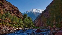 Marrakech to Atlas Mountains 5 Valleys Guided Tour