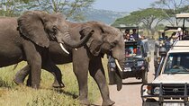 Private 3 Days Samburu National Park Safari All Inclusive