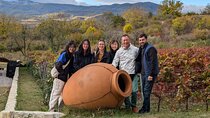 Private Kakheti Tour organic Wine Tasting with Lunch
