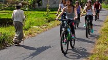 Bali Cycling Explore Village and Firefly with Lunch