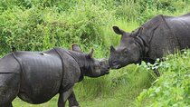 3-Day Chitwan Jungle Safari Adventure From Kathmandu