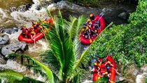 Bali Rafting: Ubud Rafting at Ayung River with Lunch & Transport