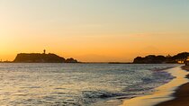 Private Day Tour to Kamakura - Beach, Nature & Onsen - From Tokyo