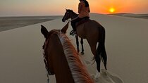 Doha Desert Safari Horse Riding, Camel Ride, ATVs & Inland Sea