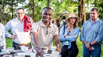 Nairobi Fairview Coffee Farm Tour and Tasting experience