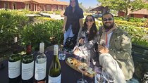 Private Maipo Valley Wine Experience: 2 Premium Wineries & Lunch