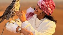 Premium Desert Safari with VIP Camp,BBQ Dinner & Live Shows-Dubai