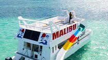 Catamaran Party Snorkeling and Barra Libre from Punta Cana