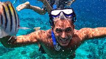 Riviera Maya Private Snorkeling Tour Adventure
