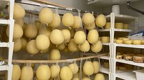 Pisa Exclusive Cheese Making & tasting experience