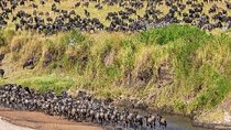  Discover 6-Day (North Serengeti Migration) - Mara River Crossing