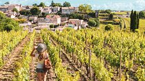 Saint-Émilion & Pomerol Fine Wines Half-Day Tour