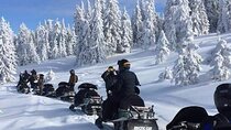 Snowmobile, ATV, Quad Private Day Trip from Bucharest 