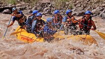 Adventure Day in Potrerillos, Rafting, Canopy or Trekking