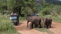 Safari Jeep in Hurulu Eco Park Sri Lanka wit Pigeon Island Tours