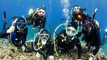 Trial diving tour that even inexperienced people can enjoy safely