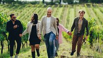 Chianti Wine Tour for Small Groups: Family Wineries & Lunch 