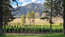 Uco Valley: a unique experience between Wine, Culture and History