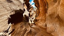 Private Guided Hike Through Buckskin Gulch Wire Pass