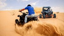 Doha Group Desert Adventure with Quad Bikes and Camel Rides
