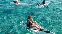 Paddle Through Paradise on a Transparent Paddleboard.