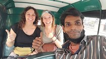Jaipur Tuk-Tuk Sightseeing Tour