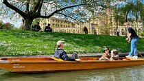 Explore Cambridge 10 Hour Day Tour from London
